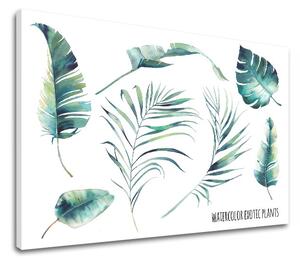 Vászonkép szöveggel Watercolor exotic plants