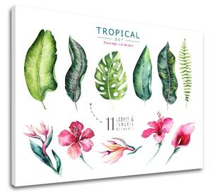 Vászonkép szöveggel Tropical set flamingo