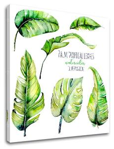 Vászonkép szöveggel Palm tropical leaves