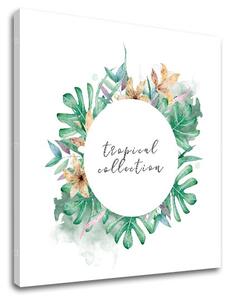 Vászonkép szöveggel Tropical collection