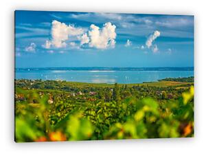 Szőlősdomb, balatoni panorámával (vászonkép)