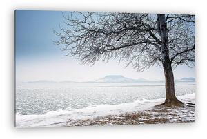 Téli Balaton, háttérben a Badacsonnyal (vászonkép)