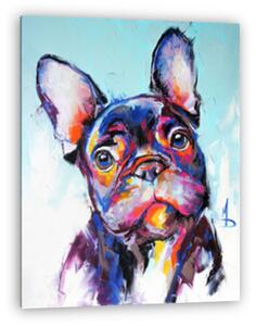 Francia bulldog portré (vászonkép)