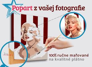 Festett POP Art kép egy fényképből - ŠTVOREC FOTO-POPS