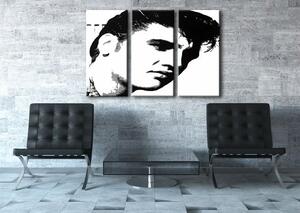 Kézzel festett POP Art festmény ELVIS 3 darab el