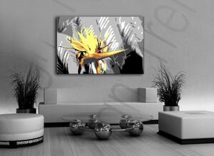 Kézzel festett vászonképek POP Art Flower 1 részes flo4