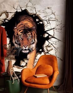 Fotótapéta 3D tigris, 3d fotótapéta, u97031 : Uwalls.hu