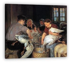 Anna Ancher: Liba tépés (vászonkép)