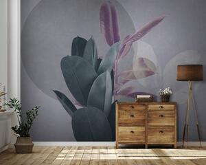Fotótapéta Ficus a háttérben egy grunge fal szürke tónusokkal, Természet fotótapéta, Fotótapéta természet levelek, u71334v3 : Uwalls.hu