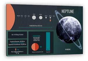 Neptun bolygó - infografika (vászonkép)
