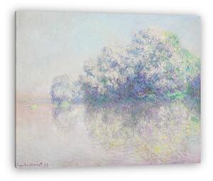 Claude Monet: Csalán-sziget (vászonkép)