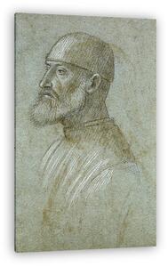 Vittore Carpaccio: Szakállas portré (vászonkép)
