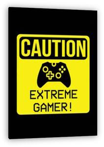 Vigyázat, extreme gamer! (vászonkép)