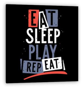Eat, Sleep, Play, Repeat (vászonkép)
