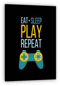 Eat, Sleep, Play, Repeat (vászonkép)