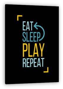 Eat, Sleep, Play, Repeat (vászonkép)