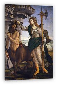 Sandro Botticelli: Pallasz Athéné és a kentaur (vászonkép)