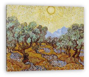 Vincent Van Gogh: Olajfák sárga ég és a nap alatt (vászonkép)