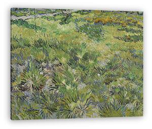 Vincent Van Gogh: Mező a Saint-Paul Kórház kertjében (vászonkép)