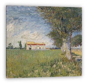 Vincent Van Gogh: Parasztház egy búzamezőn (vászonkép)