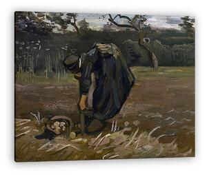 Vincent Van Gogh: Burgonyaszedő parasztasszony (színverzió 1) (vászonkép)