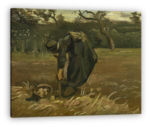 Vincent Van Gogh: Burgonyaszedő parasztasszony (vászonkép)