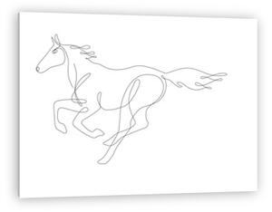 Vágtató ló (vonalrajz, line art) (vászonkép)