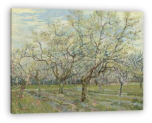 Vincent Van Gogh: Fehér gyümölcsös (vászonkép)