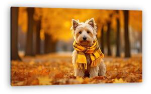Westie kutyus sállal az őszi avaron (vászonkép)