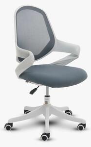 SIHOO S1C-101 Ergonomikus Irodai szék - Fehér-Szürke