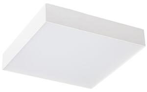 Sapho Sapho, RISA LED mennyezeti lámpa 10W, 230V, 28x28cm, fehér, LS030B