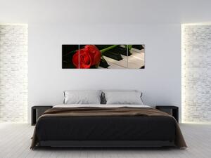 Képek - rózsa a zongorán (170x50cm)