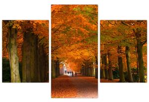 Kép - utazás, keresztül, erdő, ősszel (90x60cm)
