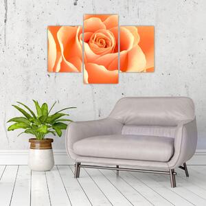 Kép - narancs, roses (90x60cm)