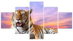 Kép - fekvő, tigris (125x70cm)