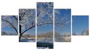 Kép - fagyos, téli, táj (125x70cm)