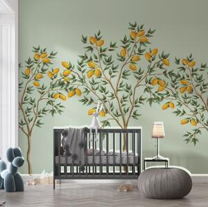 Fotótapéta Citromfa, zöld háttér, Étel és ital fotótapéta, w01661v2 : Uwalls.hu