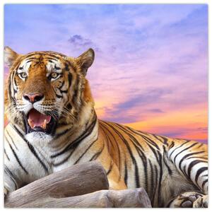 Kép - fekvő, tigris