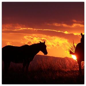 Kép - lovak, napnyugtakor