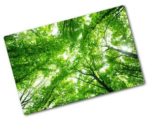 Üveg vágódeszka Zöld erdő
