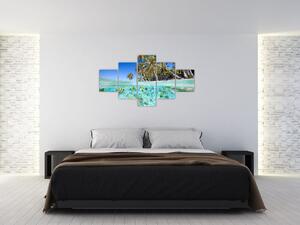 Kép - trópusi, tenger (125x70cm)