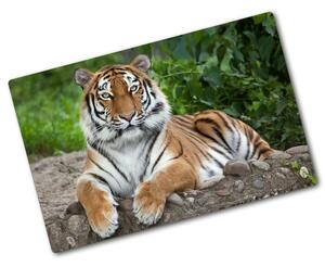 Üveg vágódeszka Szibériai tigris