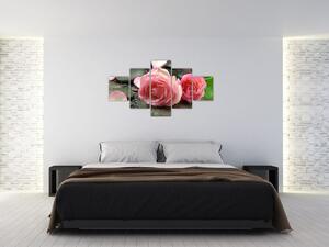Festés - rózsák (125x70cm)