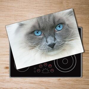 Üveg vágódeszka Cat kék szem