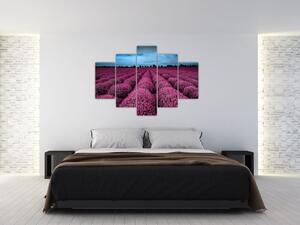 Modern képek - virágok (150x105cm)