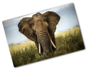 Üveg vágódeszka Elefánt a szavannán