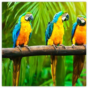 Modern kép - papagájok
