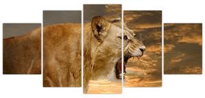 Kép - ordít, oroszlán (150x70cm)