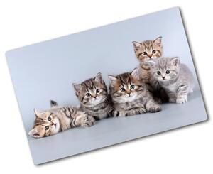 Üveg vágódeszka Öt macskák