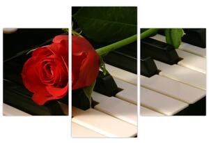 Képek - rózsa a zongorán (90x60cm)